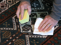 Oriental rug care