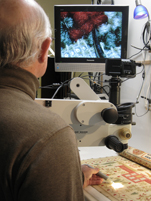 authentication of a tapestry before cleaning